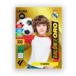 cuadro balón de oro